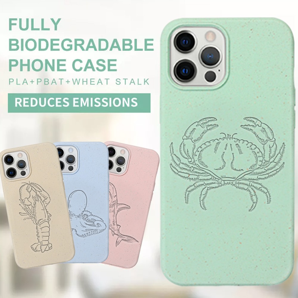 video-Biodegradable IPhone 14 Case Custom Eco Friendly Compostable Phone Case | TenChen Tech-TenChen