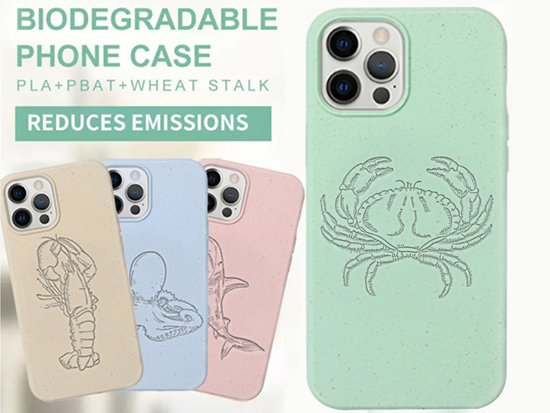 Biodegradable IPhone 14 Case Custom Eco Friendly Compostable Phone Case | TenChen Tech
